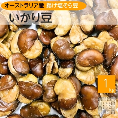 大粒いかり豆 1kg 空豆 花豆 オーストラリア産 国内加工 お徳用 フライビーンズ barのおつまみ ジッパー袋入り