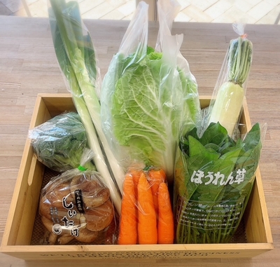 東近江市産 新鮮野菜『旬の野菜セット 』