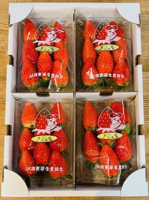 あいとういちご　　おまかせセット　 　　(4パック入り)　1箱