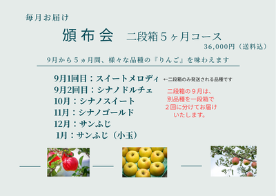 頒布会　(二段箱 ５ヶ月コース）　
