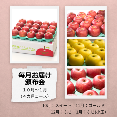 10月～1月　頒布会　（一段箱 ４ヶ月コース）　