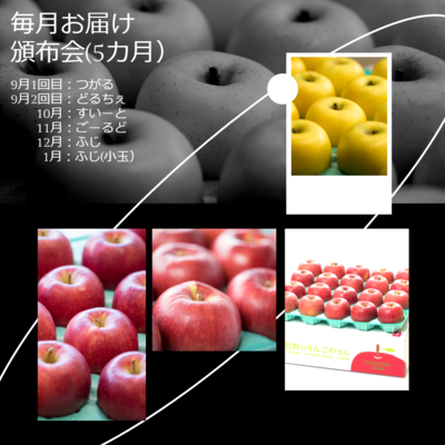 9月～1月　頒布会　(一段箱 ５ヶ月コース）