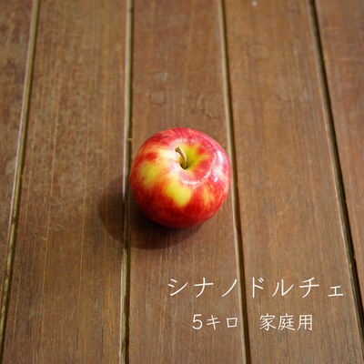 りんご　シナノドルチェ　家庭用