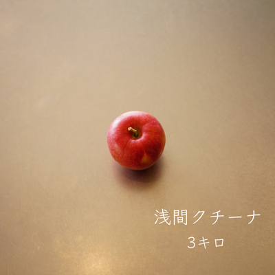 りんご　浅間クチーナ　３キロ　