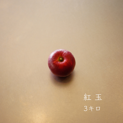 りんご 紅玉 3キロ