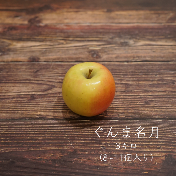 りんご ぐんま名月 3キロ | 宮嶋林檎園