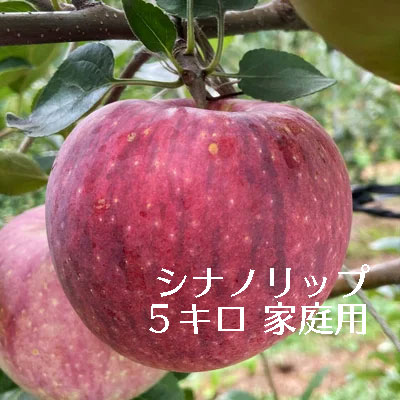 りんご　シナノリップ　家庭用