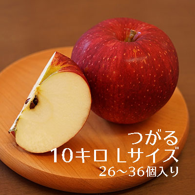 りんご　つがる　10キロ