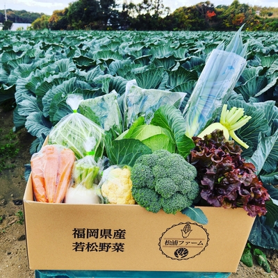 新鮮若松野菜おまかせセット（6種類～9種類）