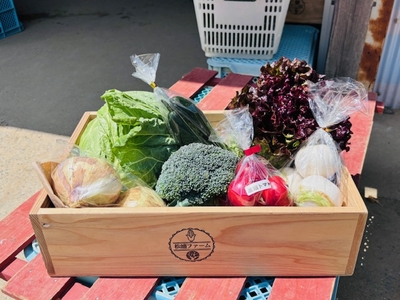 新鮮若松野菜おまかせセット