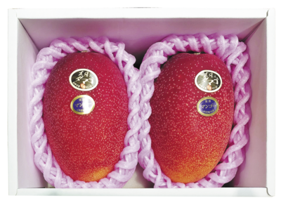 【母の日】NO.119　宮崎県産　完熟マンゴー（太陽のタマゴ）２Lサイズ２個入