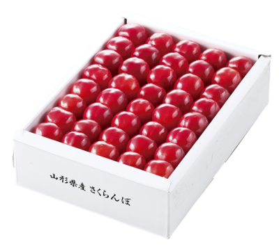 【母の日】NO.117　山形県産　ハウスさくらんぼ（化粧箱入）Lサイズ300ｇ