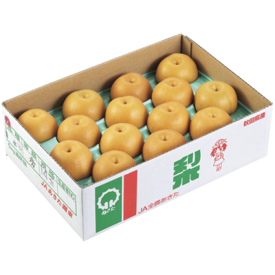 NO.413　秋田県産　豊水梨　約5kg（3L14玉）