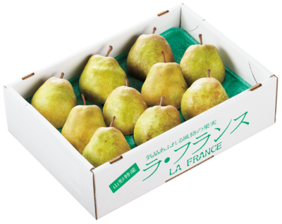 NO.202　天童産　天童水晶倶楽部ラ・フランス　約3kg（2L10個）