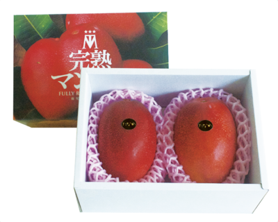 完熟アップルマンゴー特A1kg（2玉入）　税込み・送料別