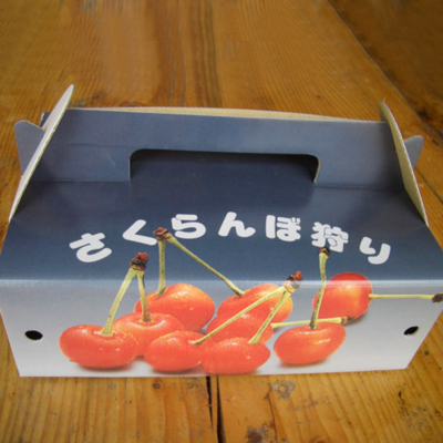 さくらんぼ バラ詰め 500g　商品発送6月中旬頃