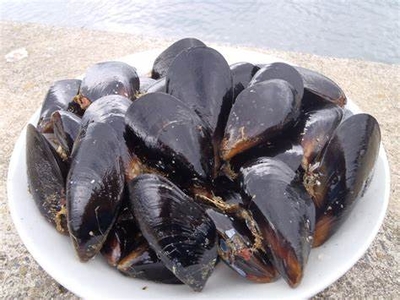 (活)特大ムール貝3㎏