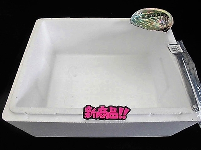 サプライズボックス【海寶箱】
