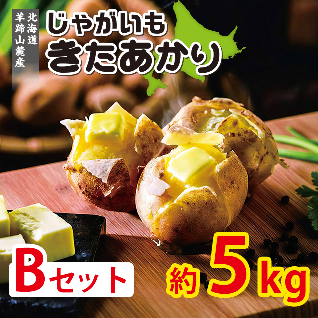 北海道羊蹄山麓産 じゃがいもきたあかり Bセット 約5kg（LM~Lサイズ45個前後）