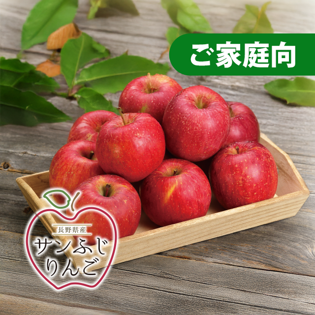 長野県産 サンふじりんご 約5kg（16~18個）ご家庭向