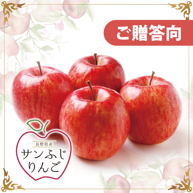長野県産 サンふじりんご約5kg（16~18個）ご贈答向
