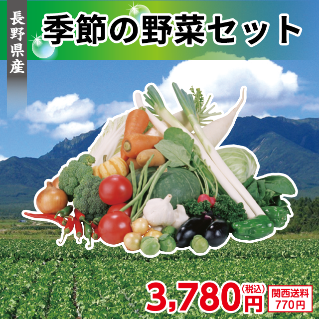 長野県産 季節の野菜セット
