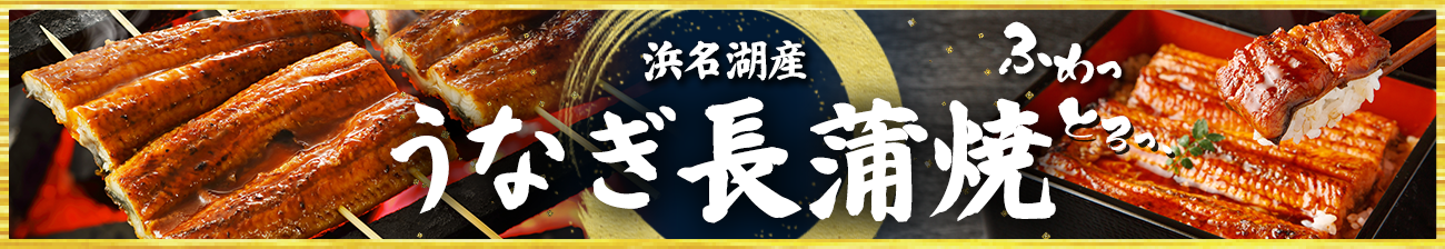 うなぎ長蒲焼