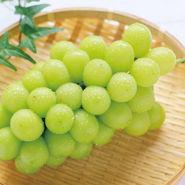shine-muscat_01