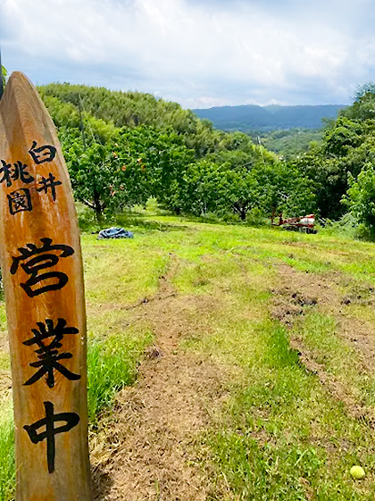 臼井桃園