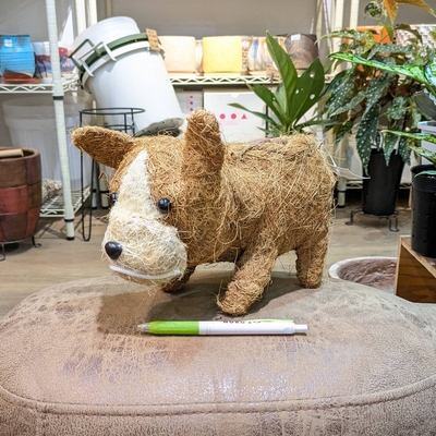 【特価！】〖 234 〗【容器部分のみ：内径 約9cm 高さ 約9cm】全長(鼻～しっぽ) 約33cm 全高 約16cm