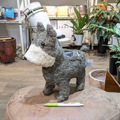 【特価！】〖 236 〗【容器部分のみ：内径 約9cm 高さ 約9cm】全長(鼻～しっぽ) 約35cm 全高 約29cm