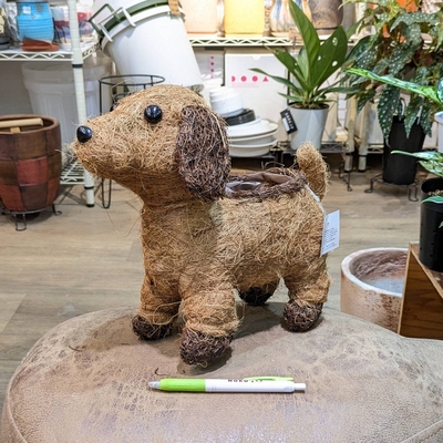 【特価！】〖 238 〗【容器部分のみ：内径 約9cm 高さ 約9cm】全長(鼻～しっぽ) 約33cm 全高 約25cm