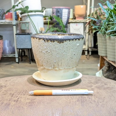 【 429 】内径 約12cm 高さ 約11cm (受皿付・鉢底穴あり)