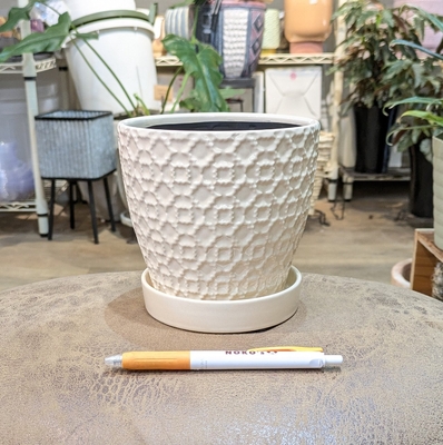 【 463 】内径 約12cm 高さ 約12cm (受皿付・鉢底穴あり)