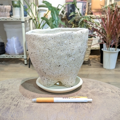【 481 】【容器部分のみ：内径 約14cm 高さ 約13cm 】全高 約15cm (受皿付・鉢底穴あり)
