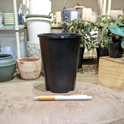 内径 約11.5cm 高さ 約15cm