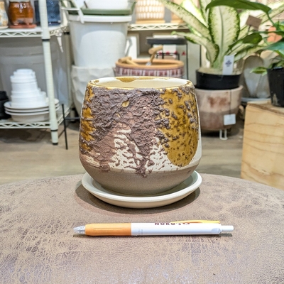 【 507 】内径 約9cm 高さ 約12cm  (受皿付・鉢底穴あり)
