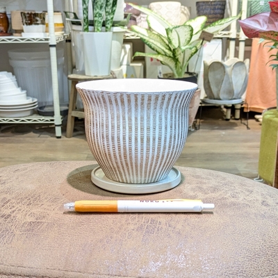 【 537 】内径 約12cm 高さ 約10cm  (受皿付・鉢底穴あり)