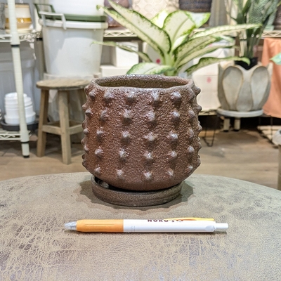【 549 】内径 約9cm 高さ 約11cm (受皿付・鉢底穴あり)