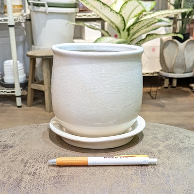 【 556 】内径 約11.5cm 高さ 約13cm (受皿付・鉢底穴あり)