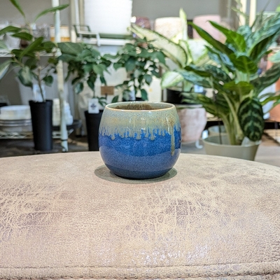 《 287 》内径 約5.5cm 高さ 約6cm (受皿無し・鉢底穴あり)