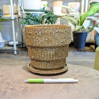 【 592 】内径 約13cm 高さ 約13cm (受皿付・鉢底穴あり)