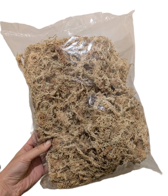 最高級水苔 AAAAA１００g