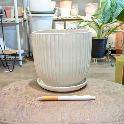 ( 125 ) 内径 約15cm 高さ 約14.5cm (受皿付・鉢底穴あり)