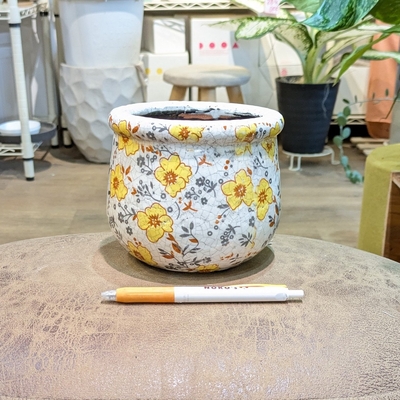 【 600 】内径 約10cm 高さ 約12cm (受皿無し・鉢底穴あり)