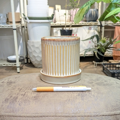 ※ 受皿に欠けあり10％OFF ※【 611 】内径 約10cm 高さ 約11cm (受皿付・鉢底穴あり)