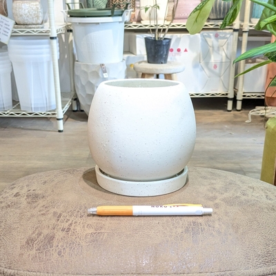 【 625 】内径 約9.5cm 高さ 約13cm (受皿付・鉢底穴あり)