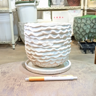 【 641 】内径 約12cm 高さ 約13cm (受皿付・鉢底穴あり)