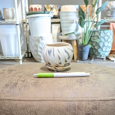 《 325 》内径 約6.5cm 高さ 約6cm (受皿付・鉢底穴あり)