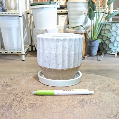 【 661 】内径 約11cm 高さ 約11cm (受皿付・鉢底穴あり)